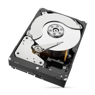 SEHDSK04-001-0 - HDD SKYHAWK 4TB 3,5 SATA 6GB 256MB CACHE - ST4000VX016- - SEAGATE